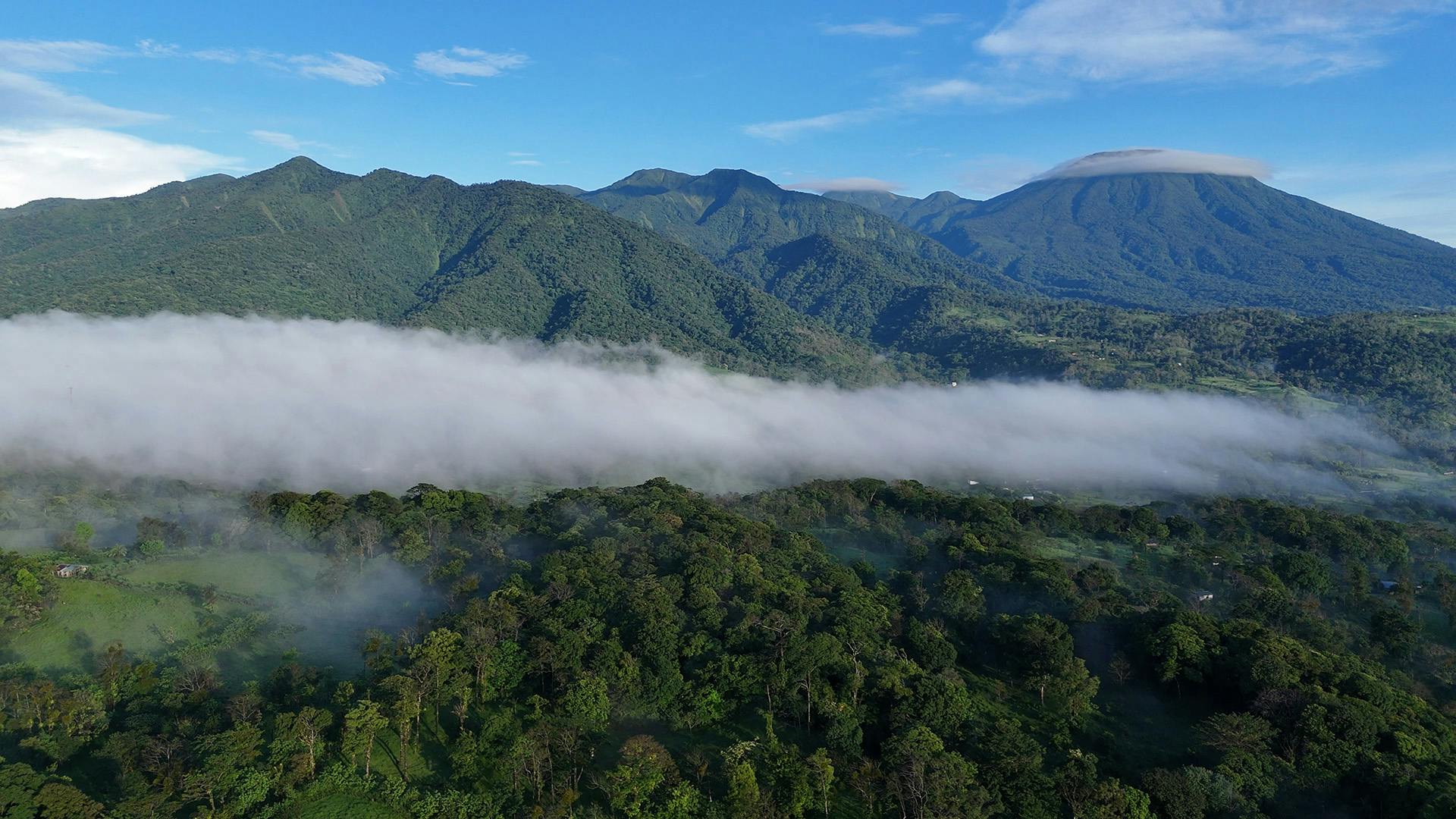 Bijagua Nature Tours