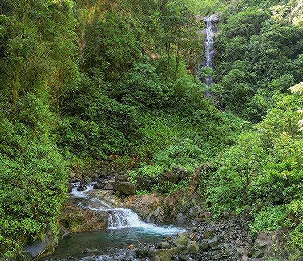Cataratas Bijagua Waterfall