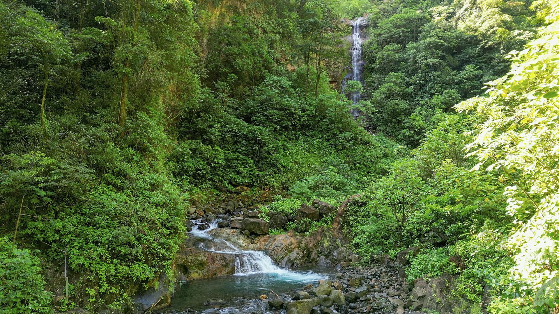 Cataratas Bijagua Waterfall