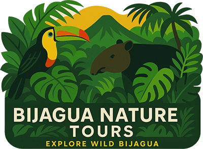 Bijagua Nature Tours
